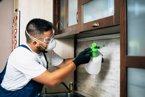 Best Commercial Pest Control Services  in Bloomingburg, OH