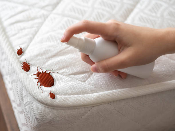 Wasp Removal Services in Bloomingburg, OH