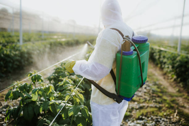 Best Wasp Removal Services  in Bloomingburg, OH